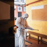 Izolația cu celuloză și rezistența la dăunători
