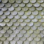 Acoperișuri ecologice opțiuni și beneficii