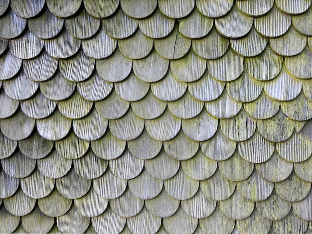 Acoperișuri ecologice opțiuni și beneficii